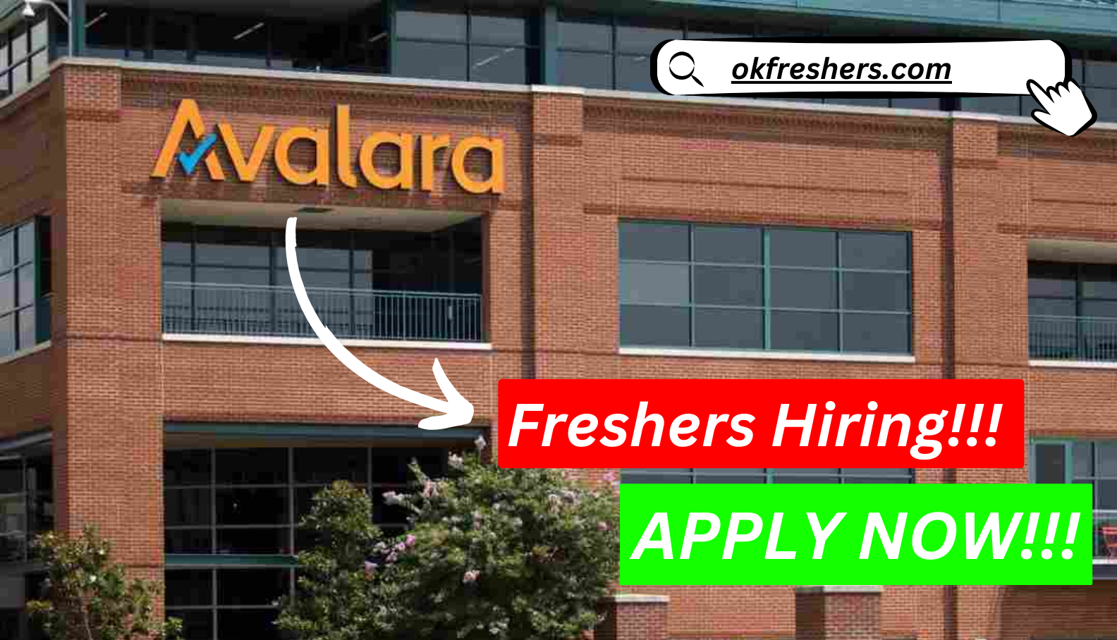 Avalara Recruitment 2024