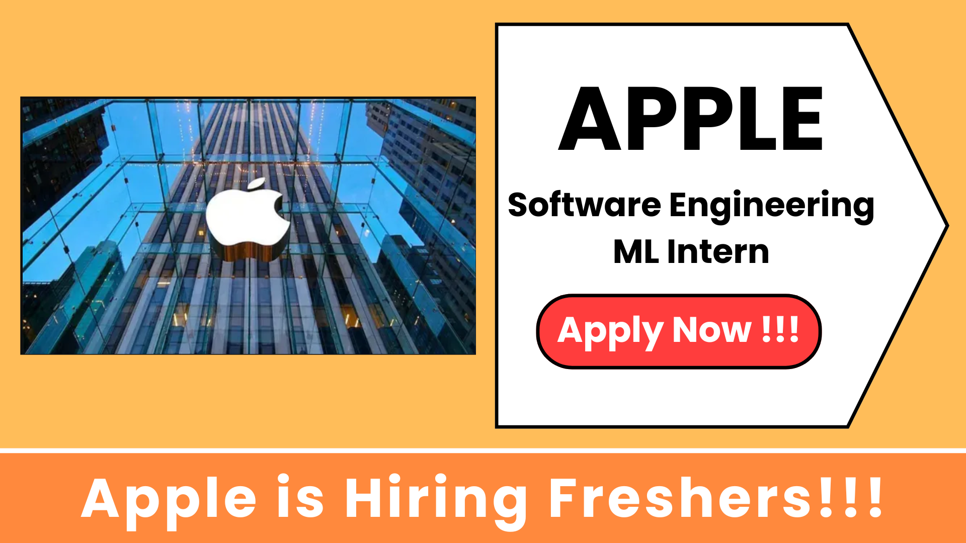 Apple Career for Freshers