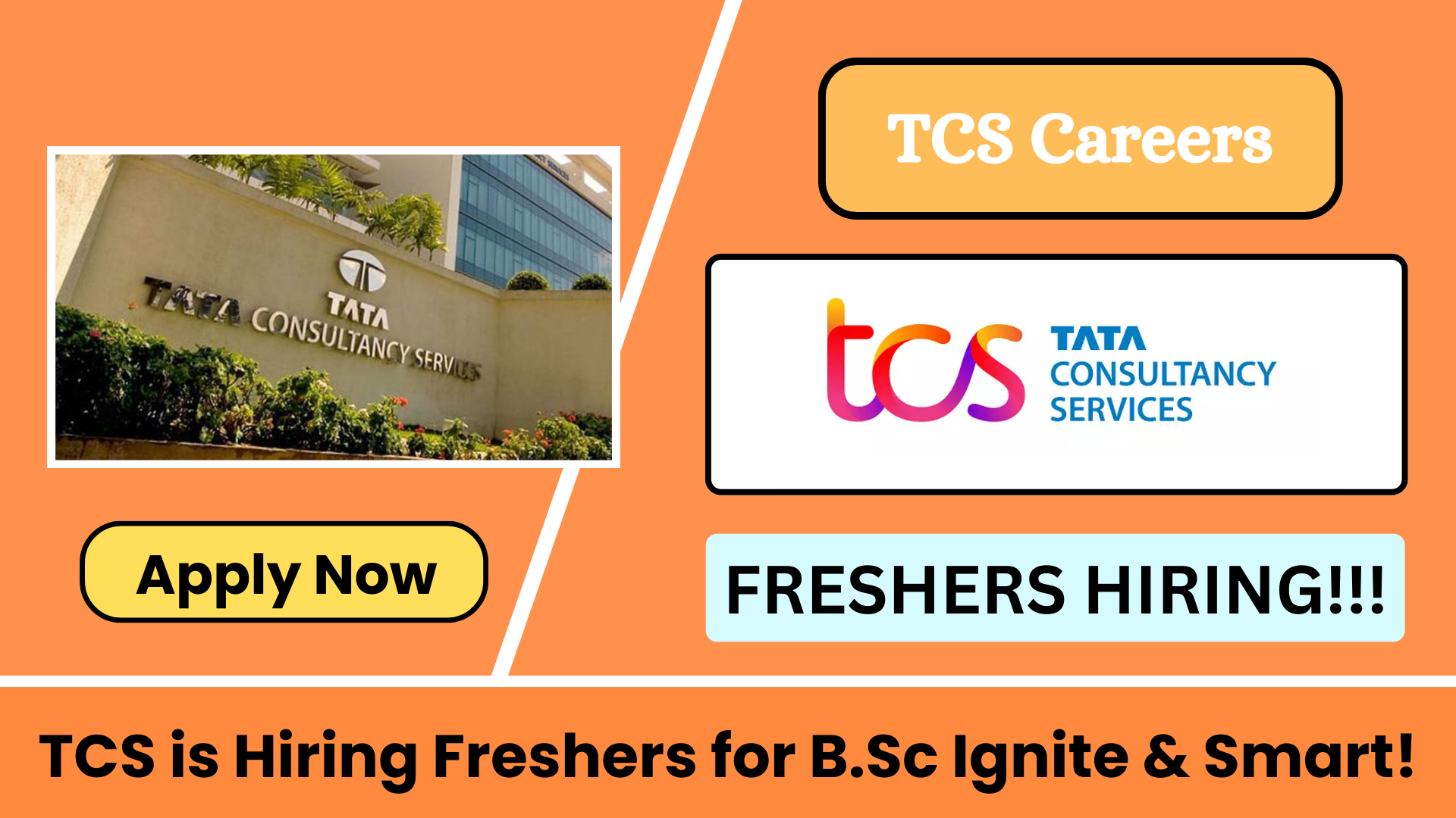 TCS Hiring Freshers for B.Sc Ignite & Smart 2025 Graduates