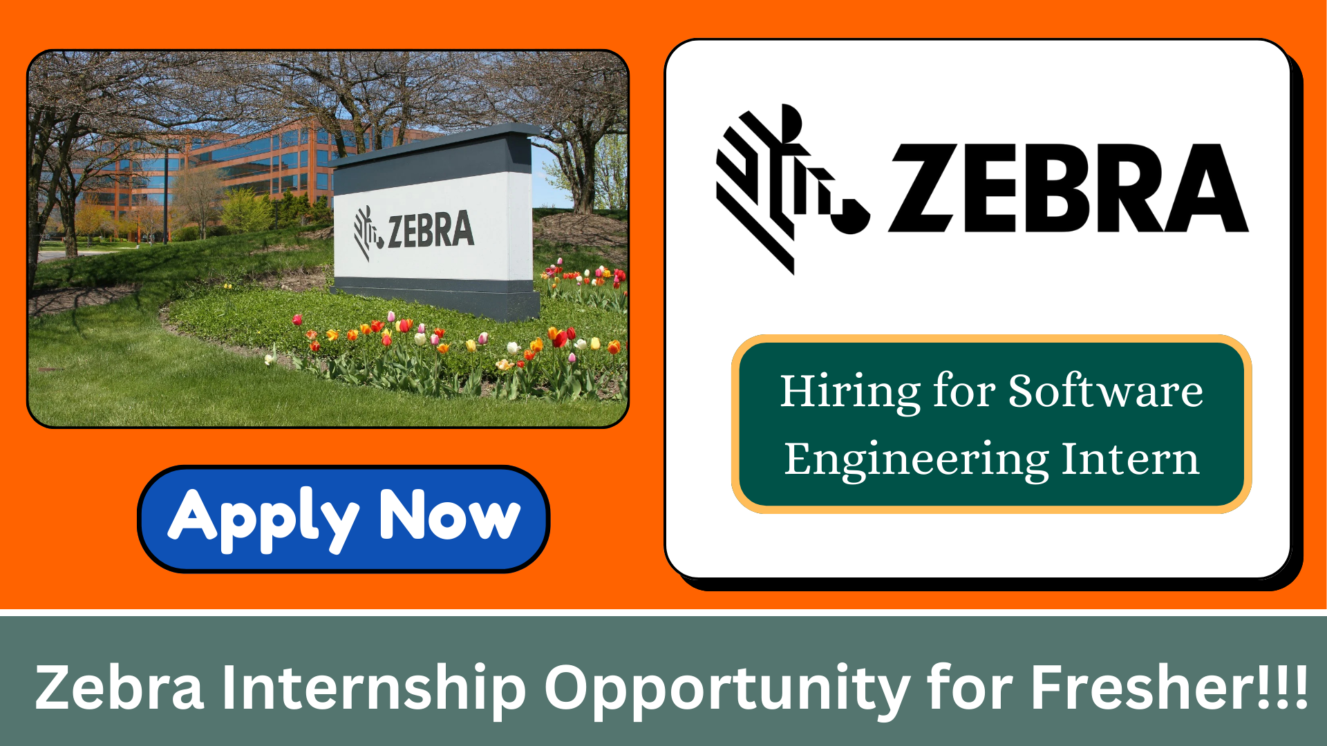 Zebra Internship Opportunity for Fresher in Bangalore!